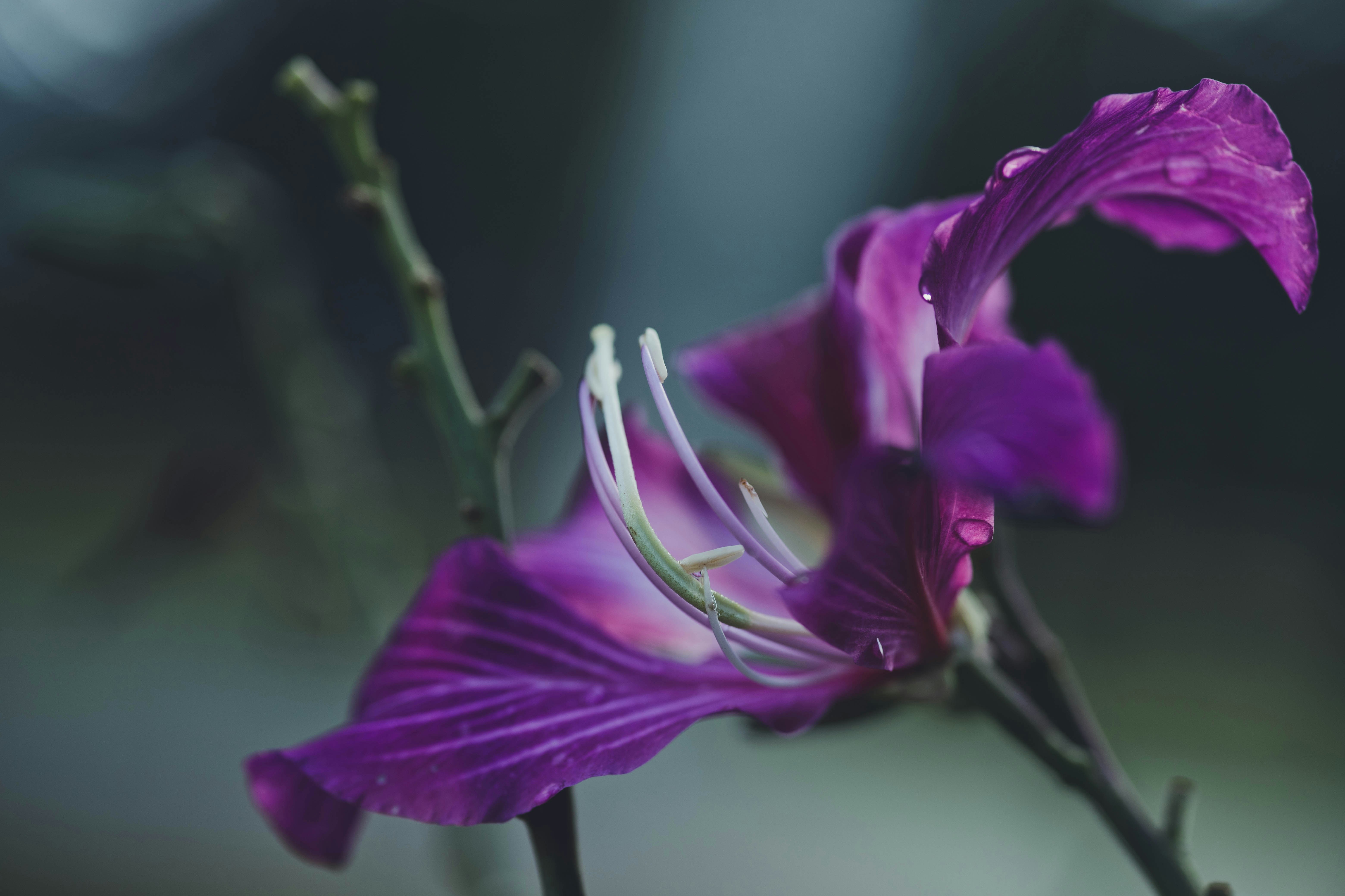 Photo by rrodriguesim