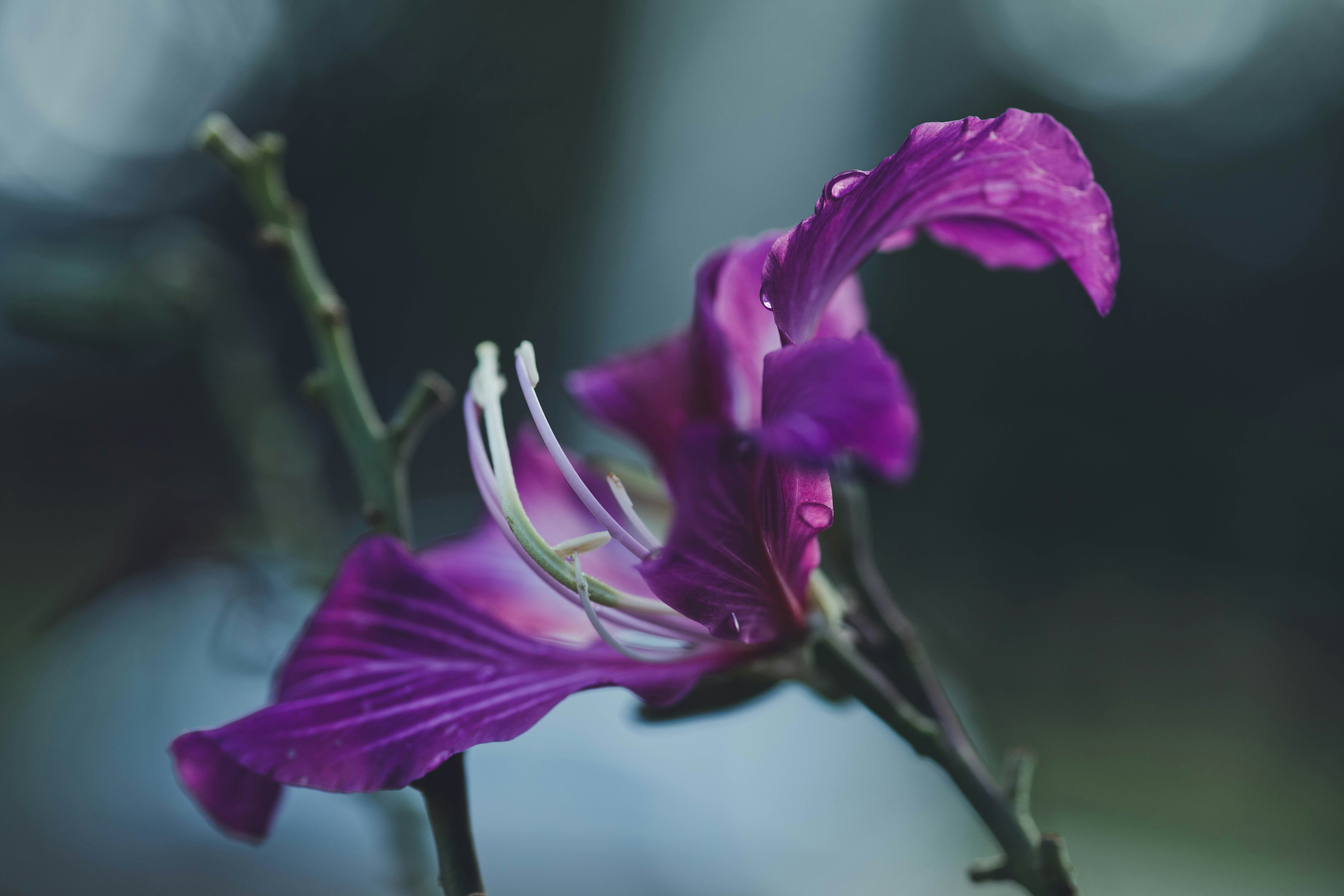 Photo by rrodriguesim