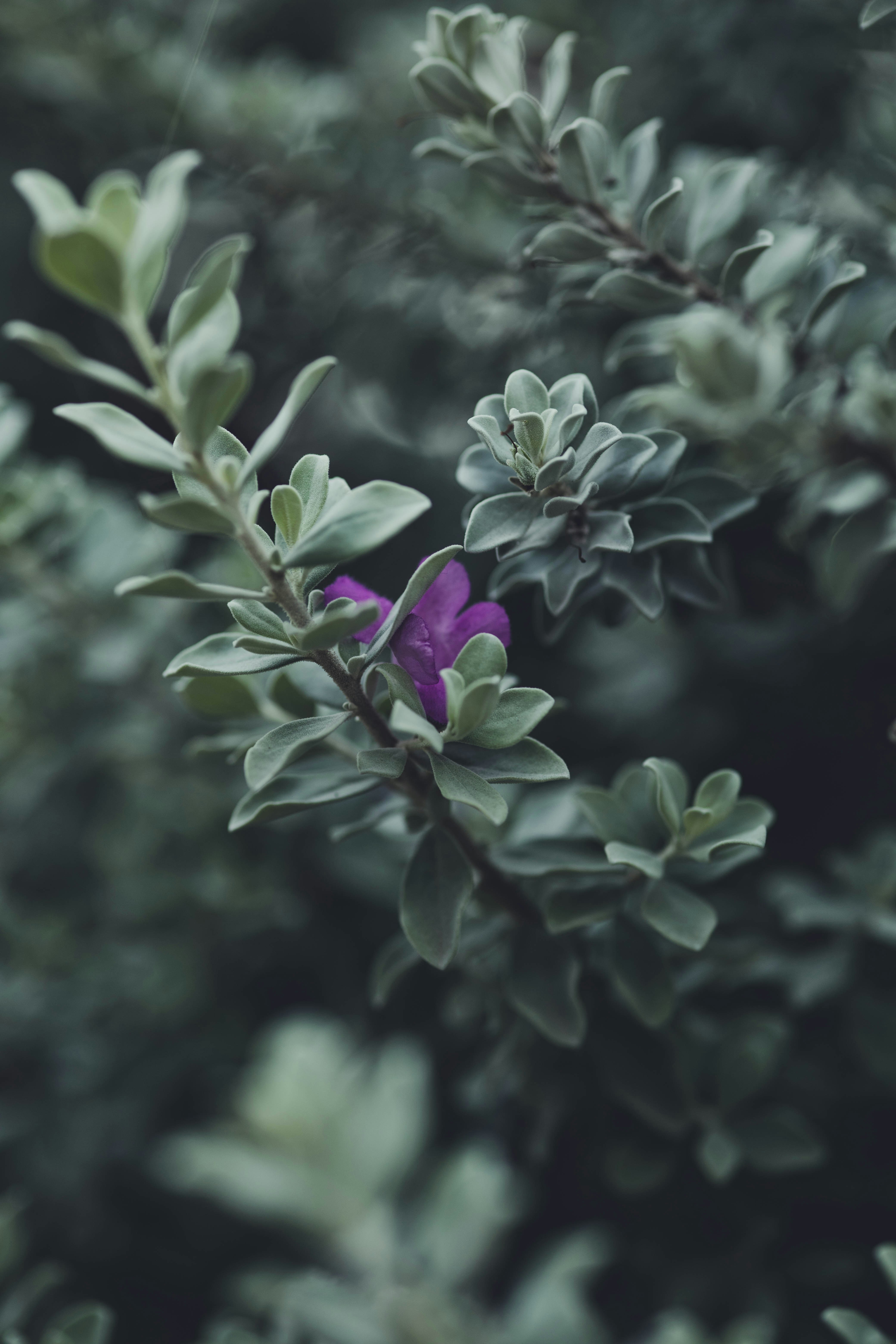 Photo by rrodriguesim