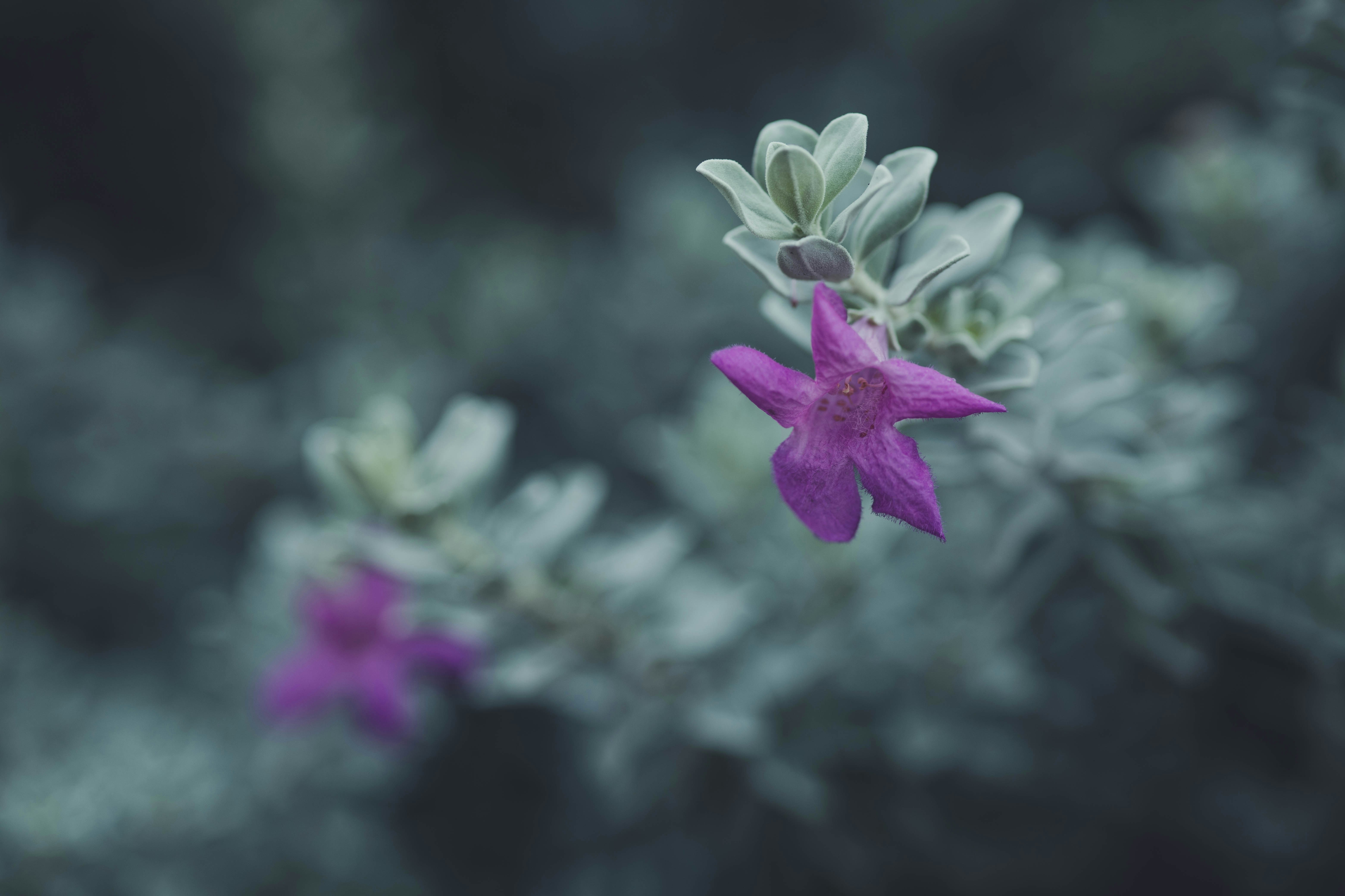 Photo by rrodriguesim