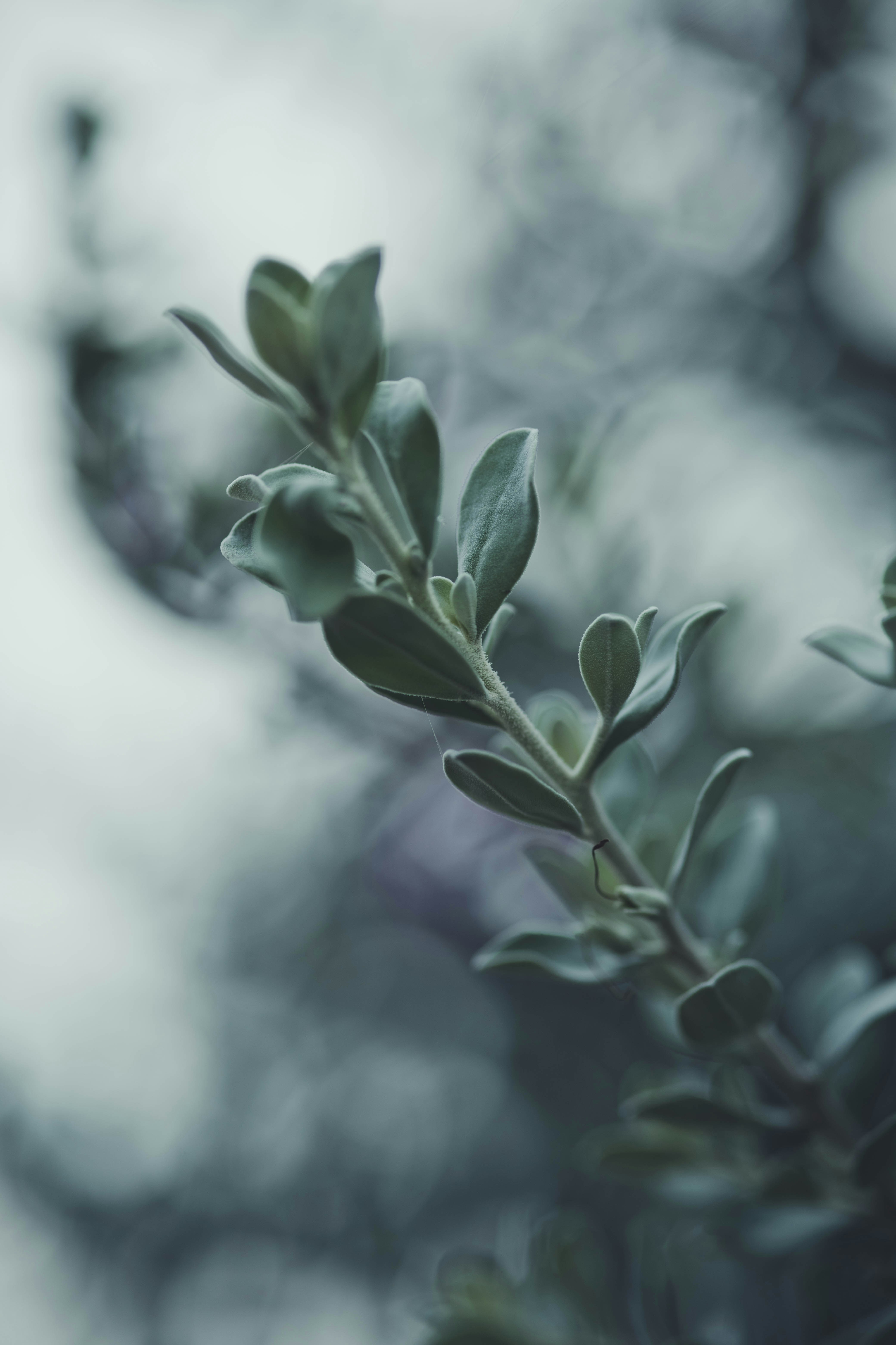 Photo by rrodriguesim