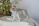 Handcrafted ceramic pet figurine with vibrant colors on a rustic wooden table.