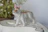 Handcrafted ceramic pet figurine with vibrant colors on a rustic wooden table.