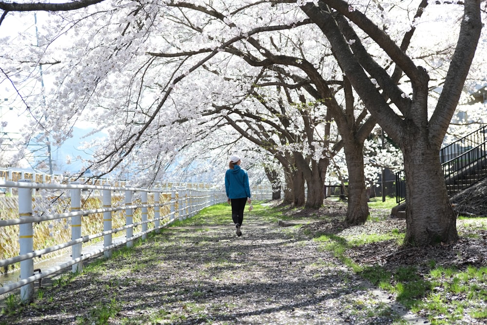 a person walking down a path lined with trees