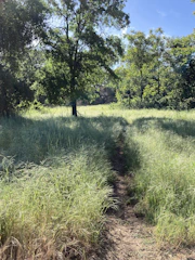 a dirt path in the middle of a grassy field