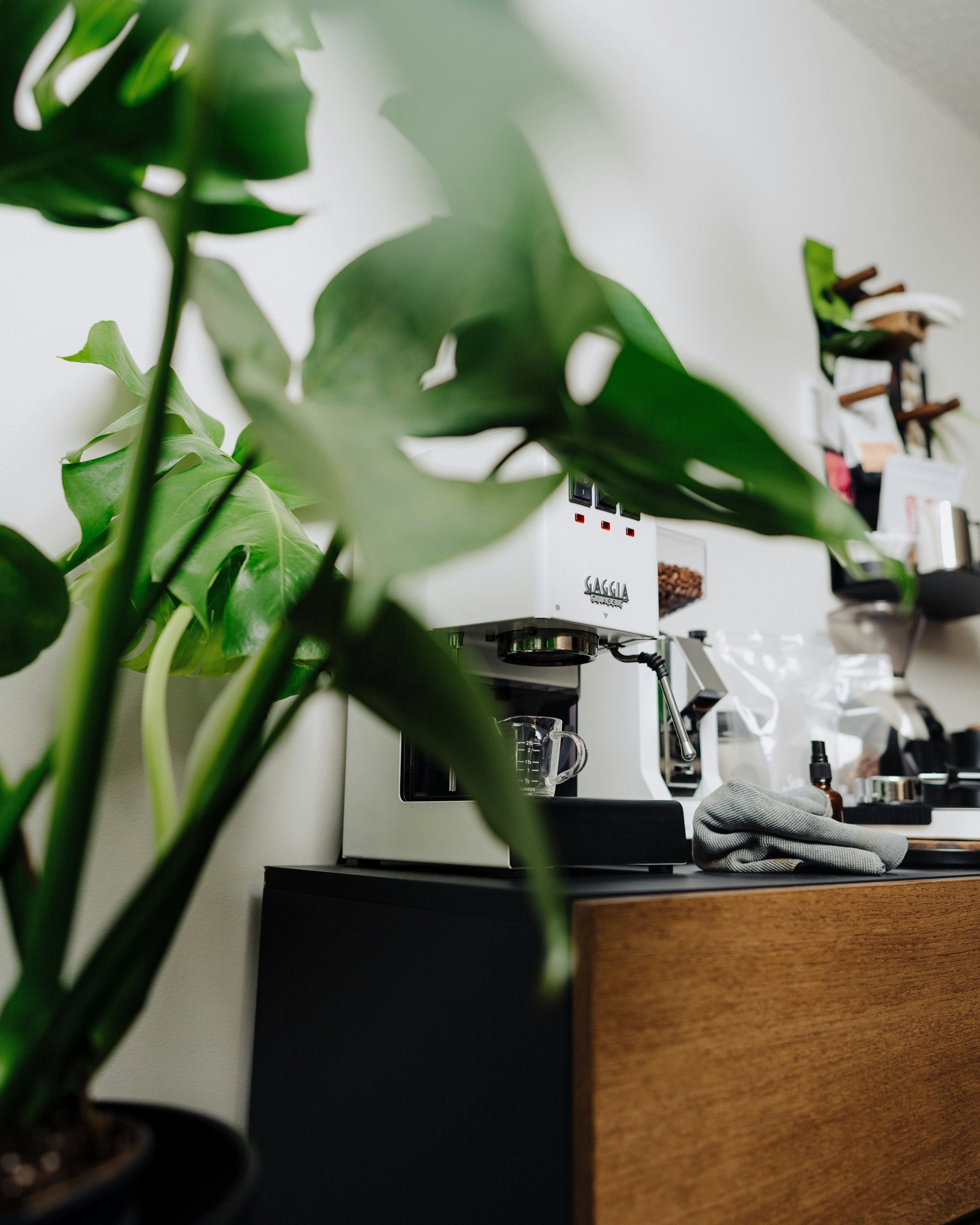 a potted plant sitting on top of a wooden counter