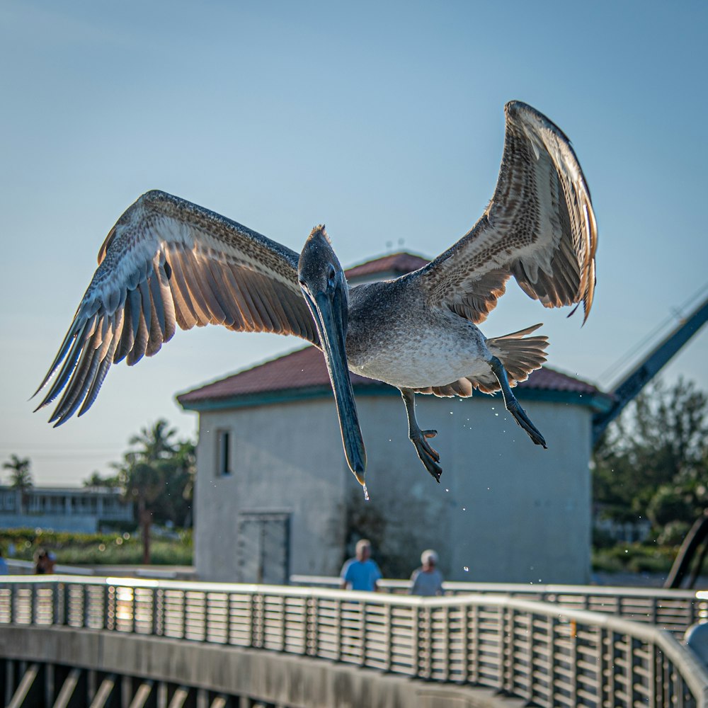 a large bird flying over a wooden bridge