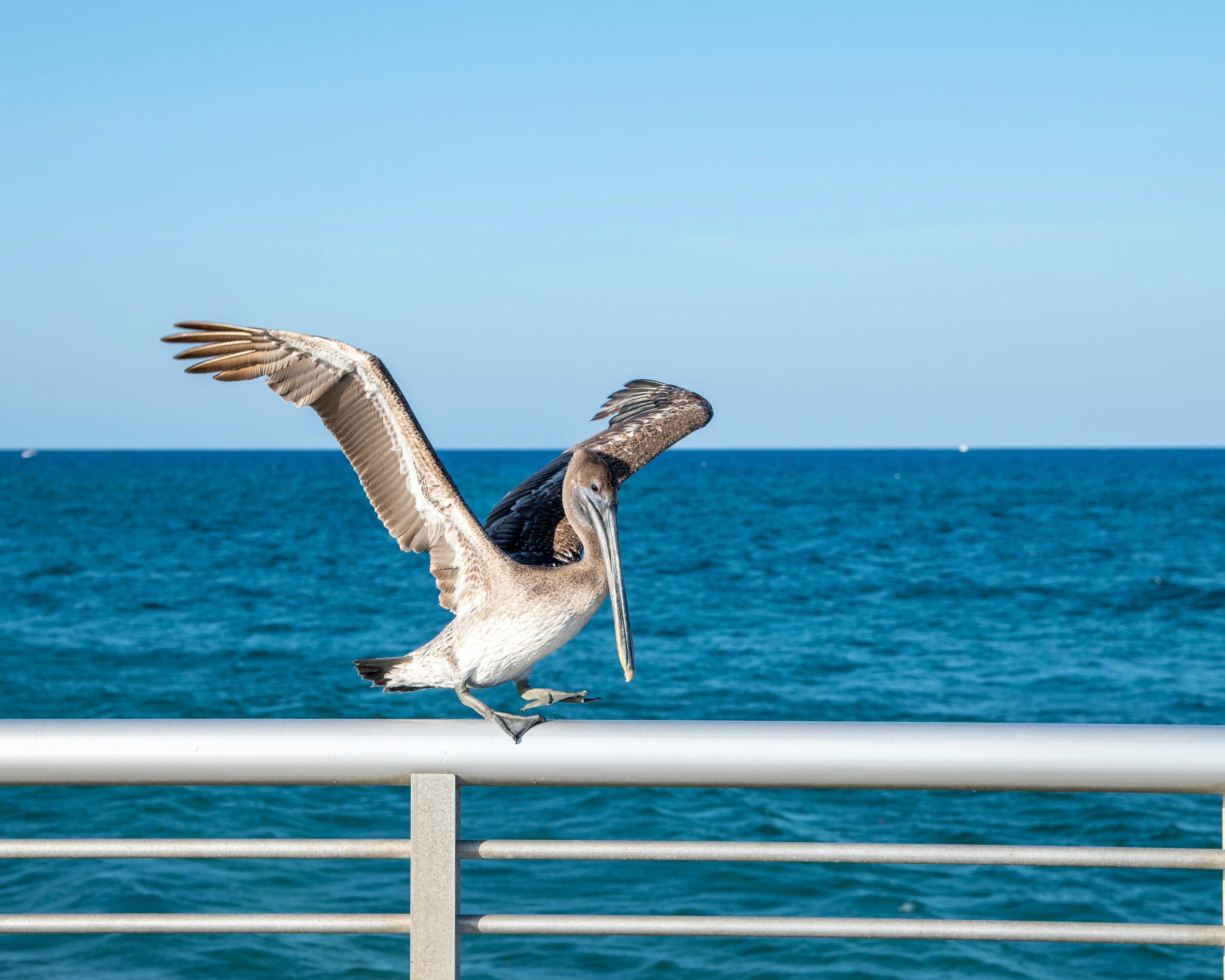 Photo by sagredophotography