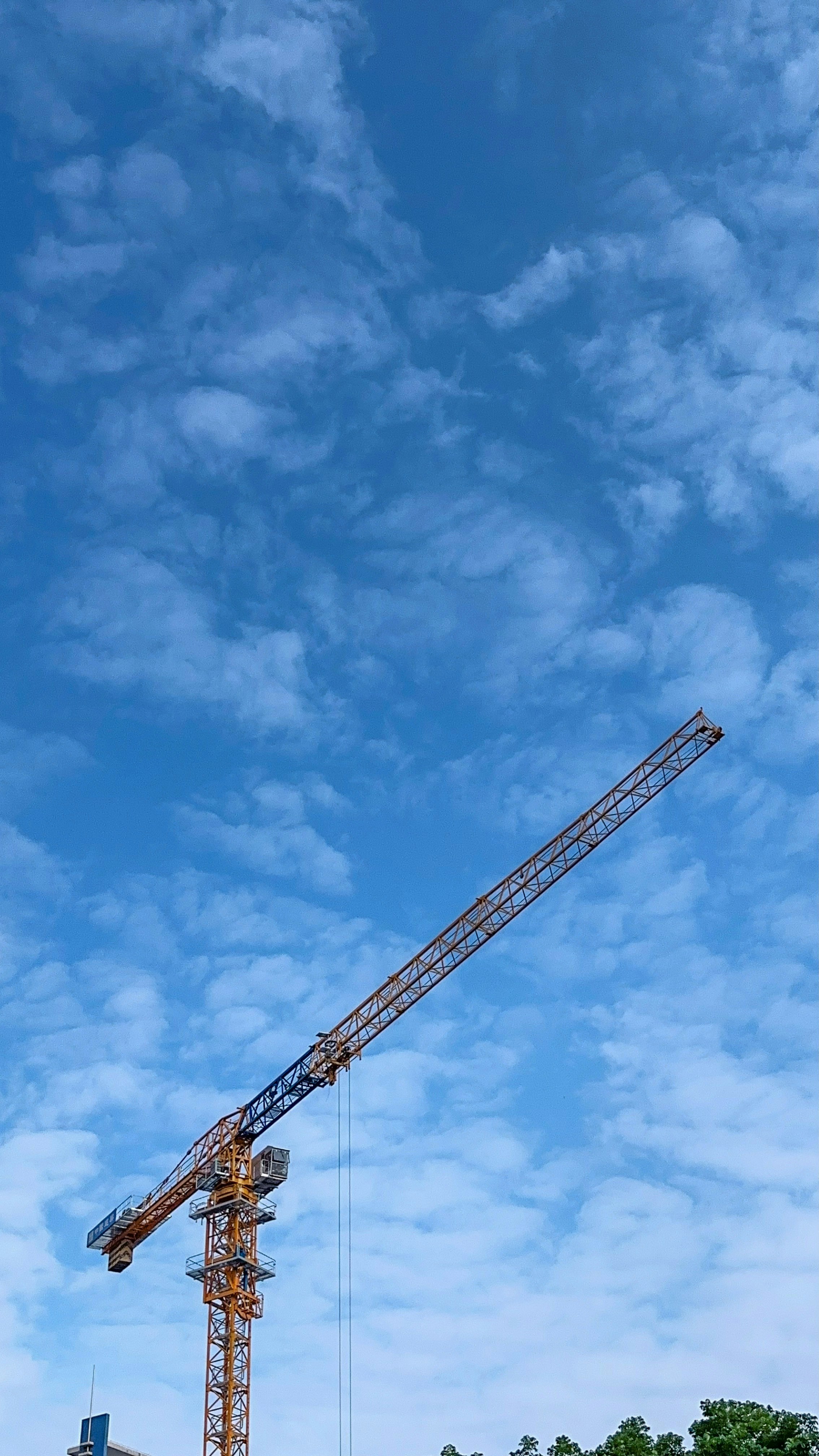 Photo by dickenslin76