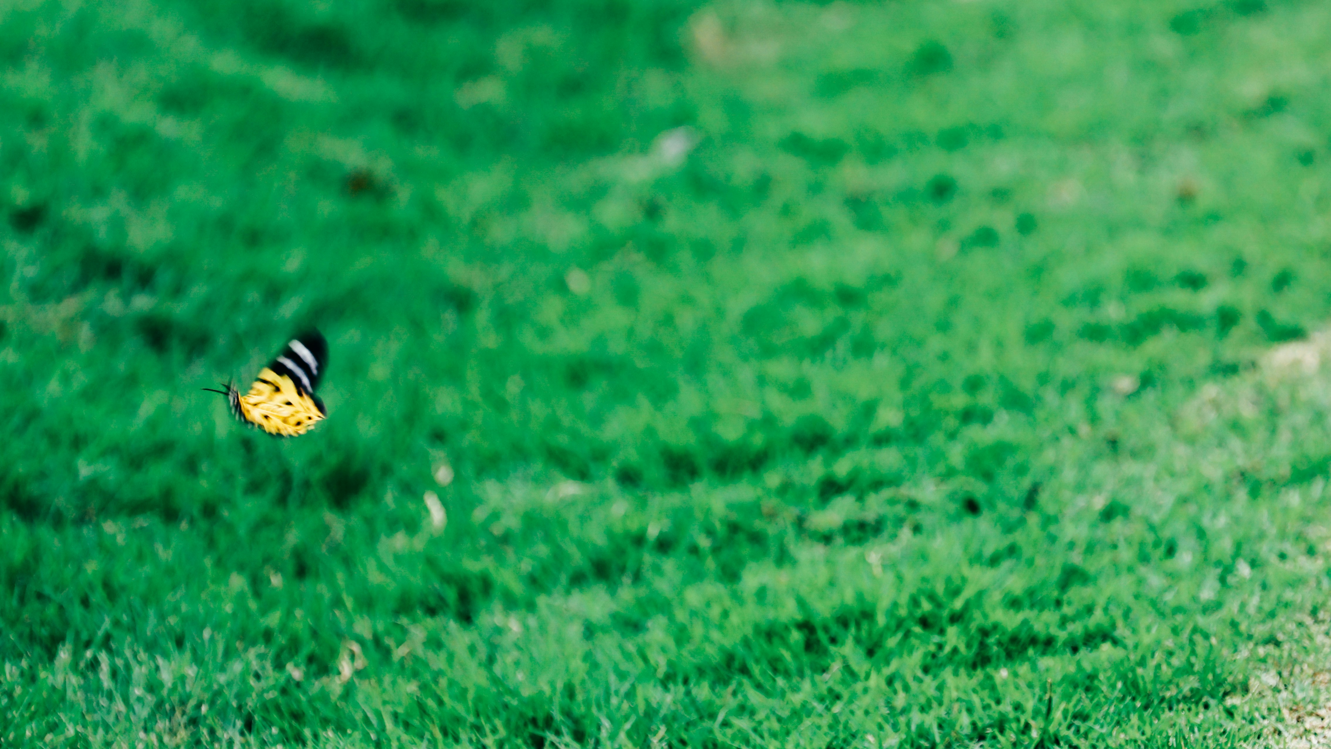 Vista aérea de un partido de fútbol con tribunas llenas
