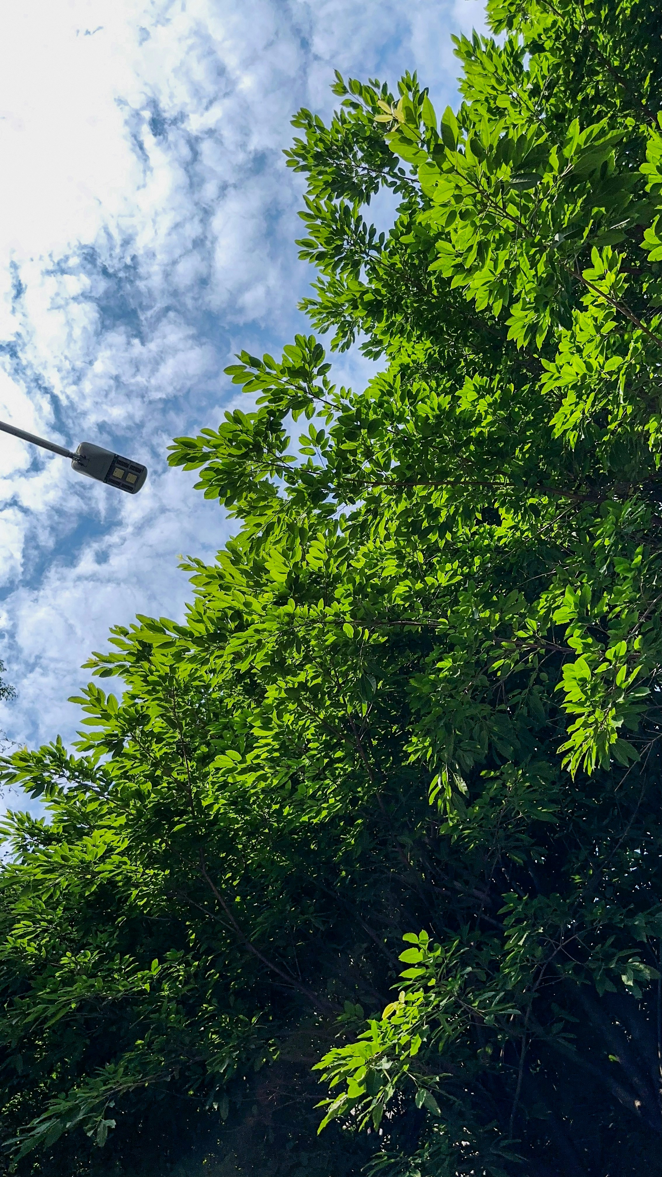 Photo by dickenslin76