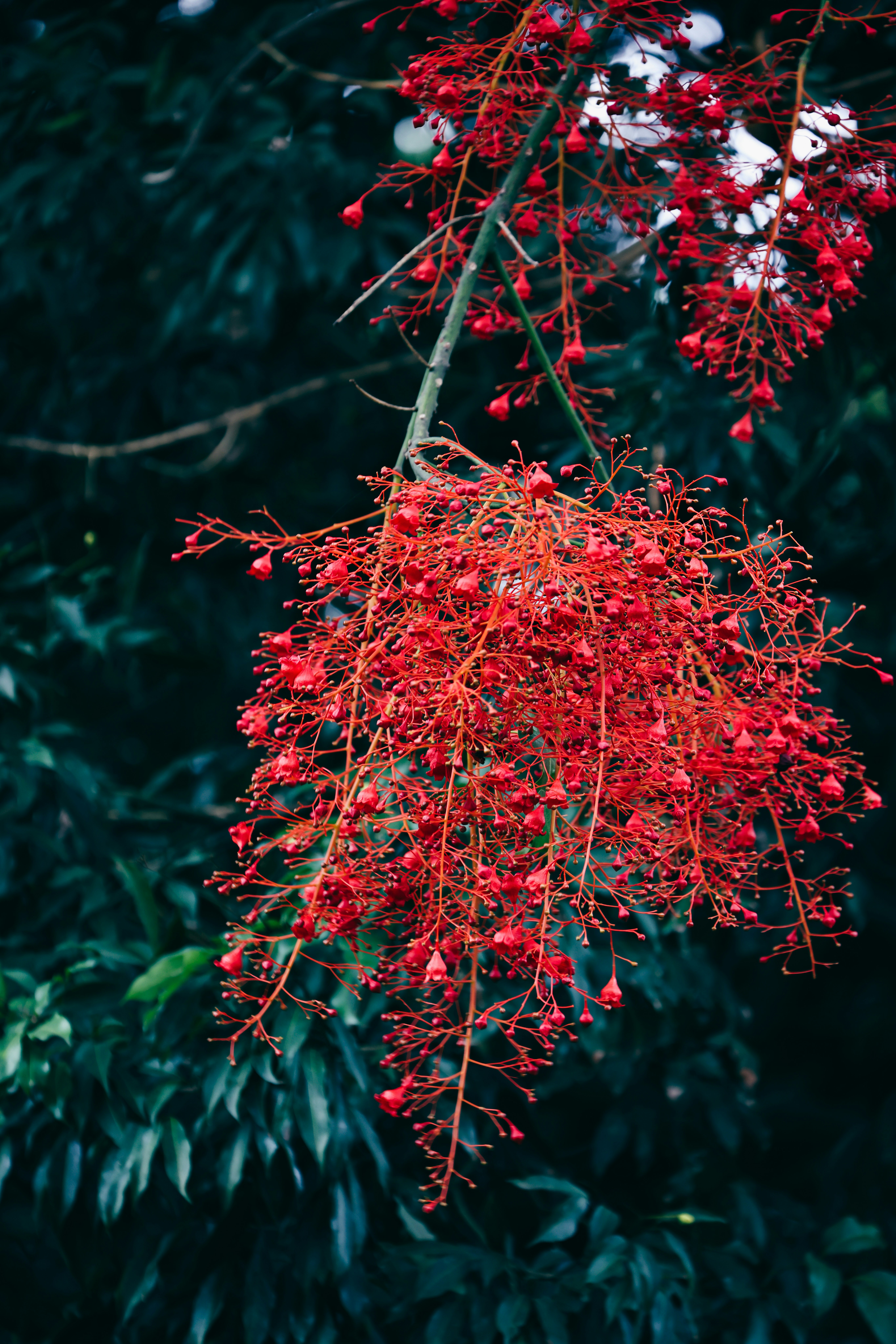 Photo by dickenslin76