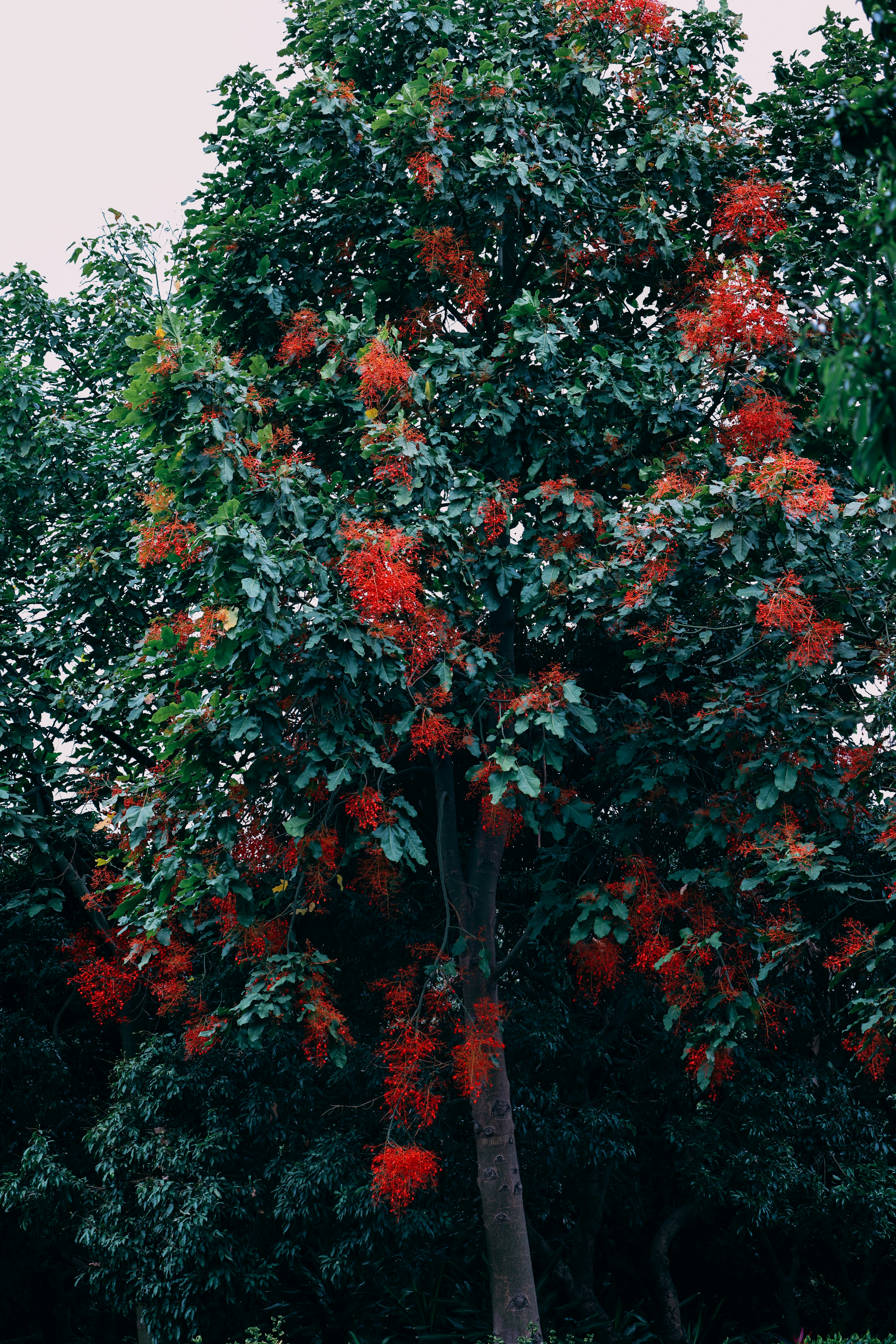 Photo by dickenslin76