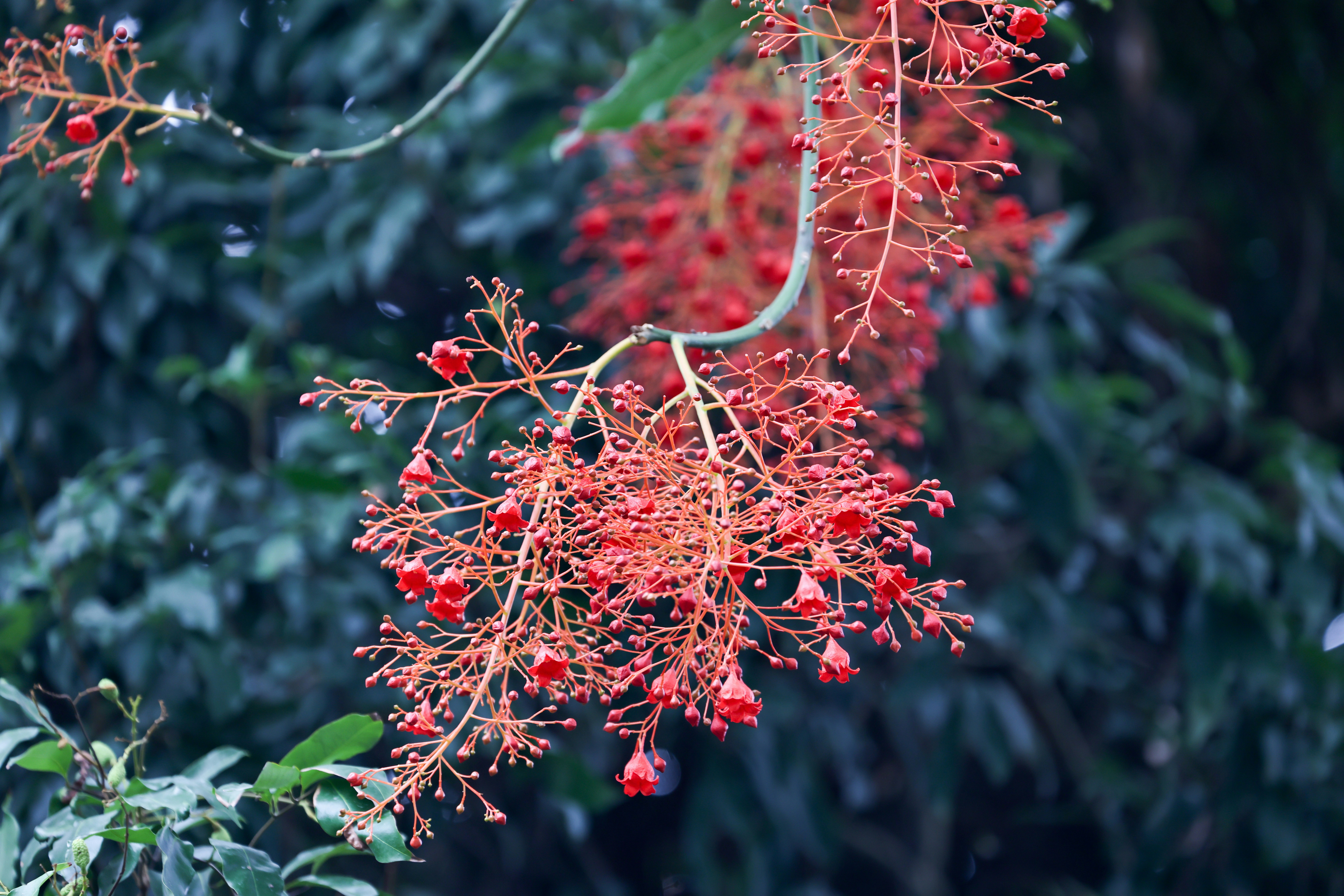 Photo by dickenslin76