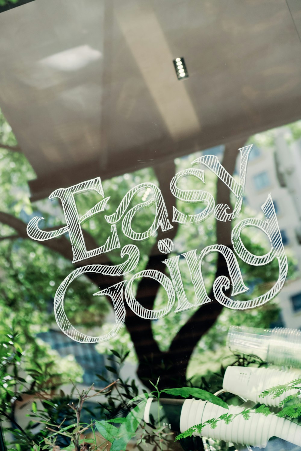 a close up of a window with a tree in the background