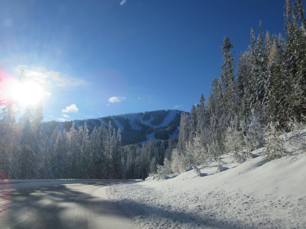 the sun shines brightly on a snowy road