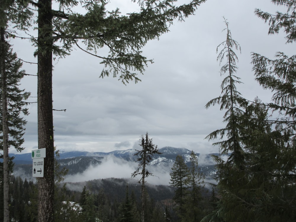 une vue sur les montagnes de loin