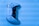 A gaming controller is placed against a blue background. The controller features dual analog sticks, a touchpad, and various buttons including directional arrows and shape symbols. The lighting casts a cool blue hue over the scene, accentuating the sleek design of the controller.