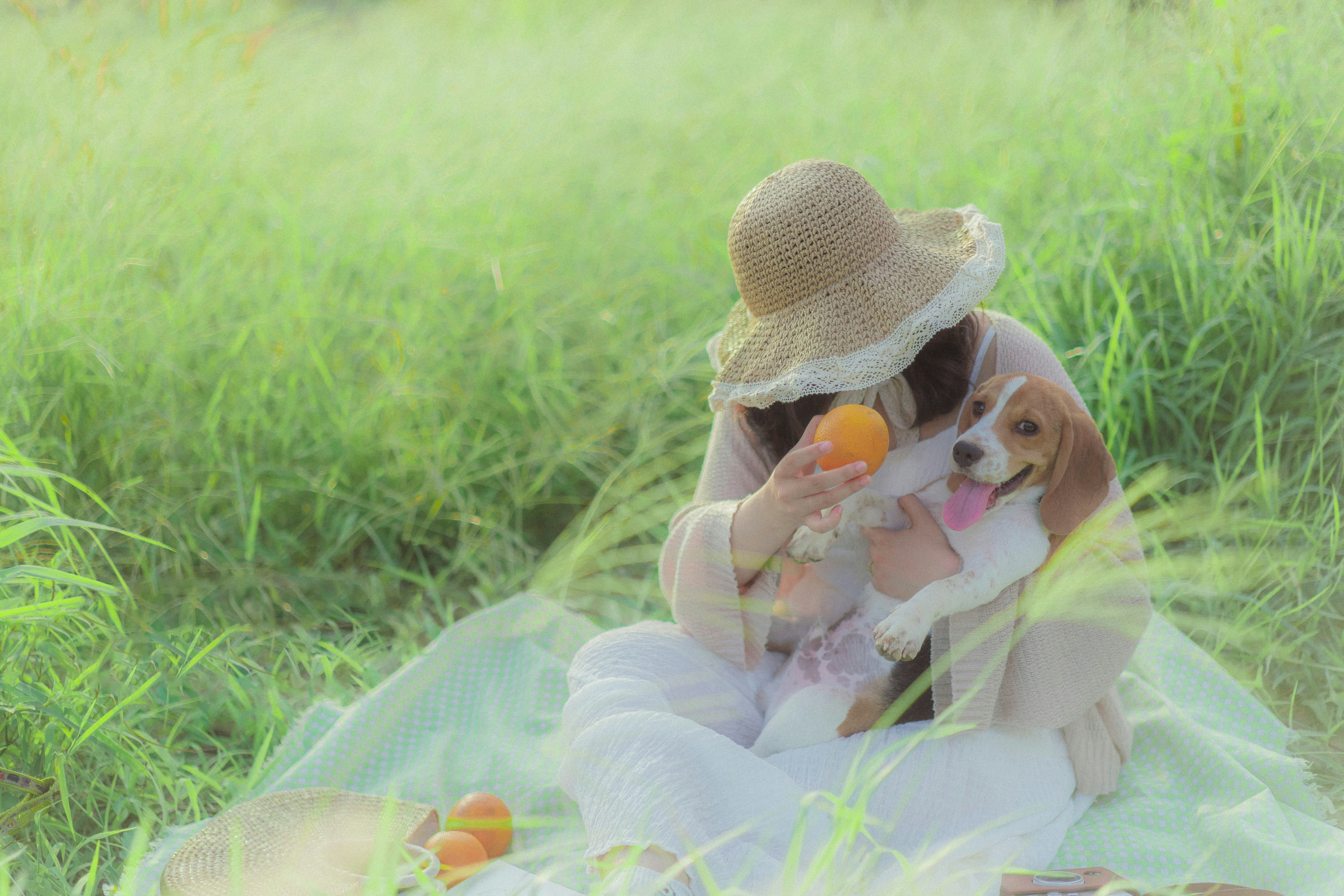 A little girl sitting in the grass with a dog photo – Free Portrait ...