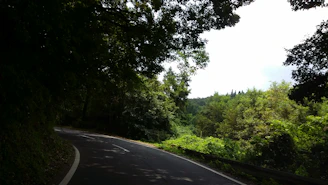 A rugged 4x4 winding through vibrant green rainforest with sunlight filtering through dense canopy.