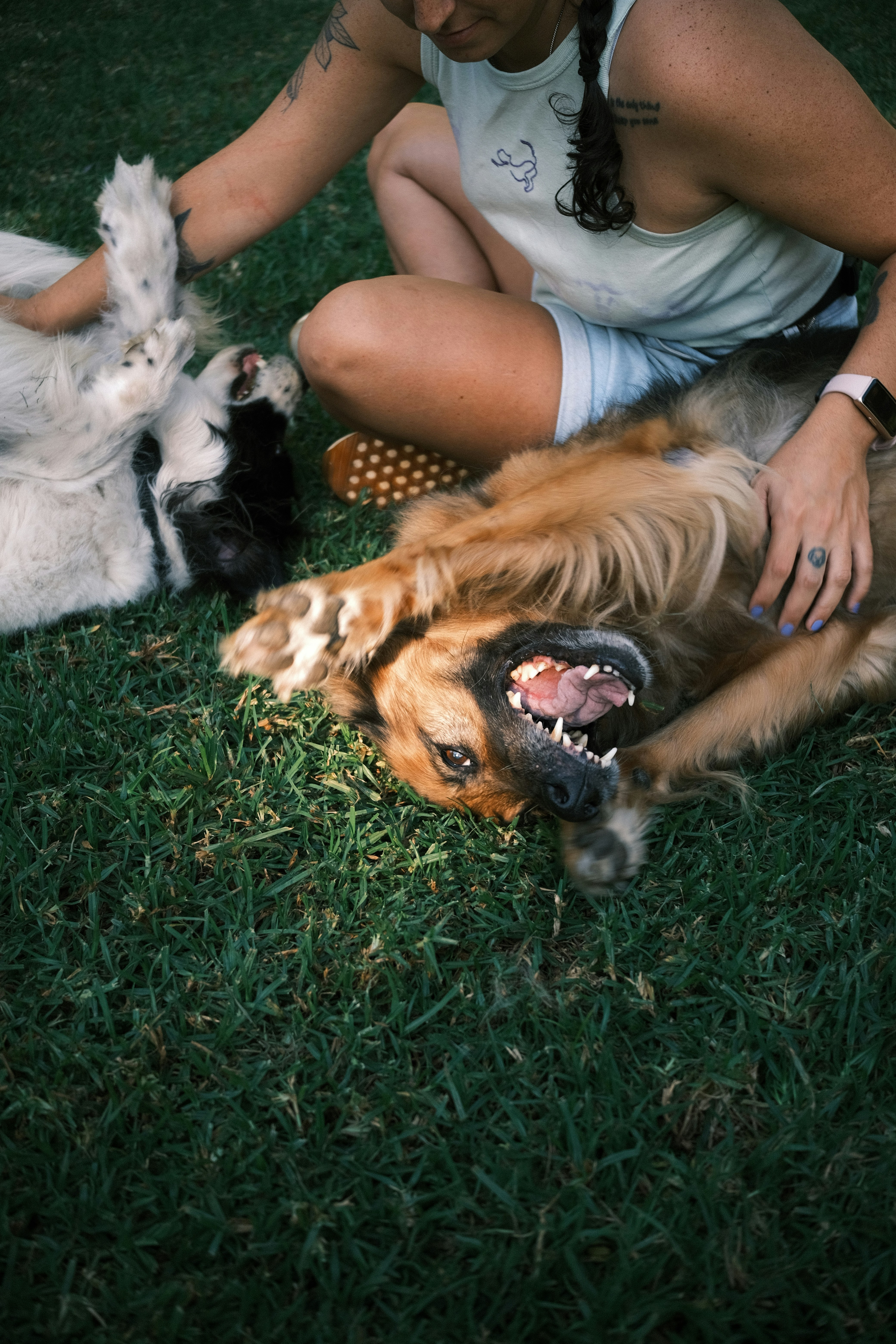 a woman petting a dog on the grass