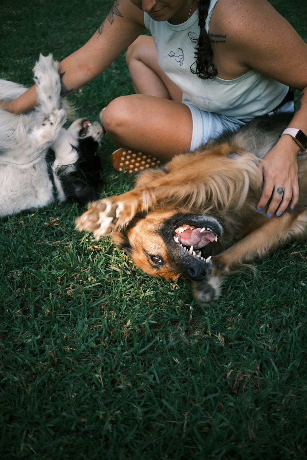 a woman petting a dog on the grass