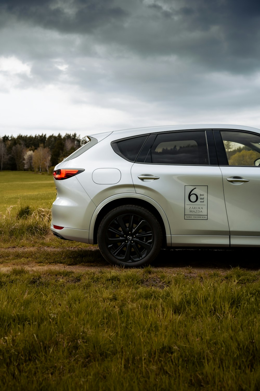 a white car parked in a grassy field