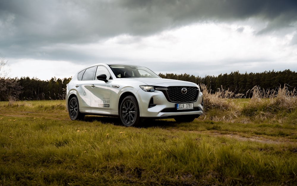 a white car parked in a grassy field