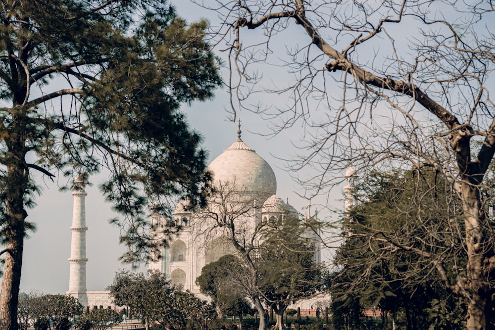 a large white building surrounded by trees