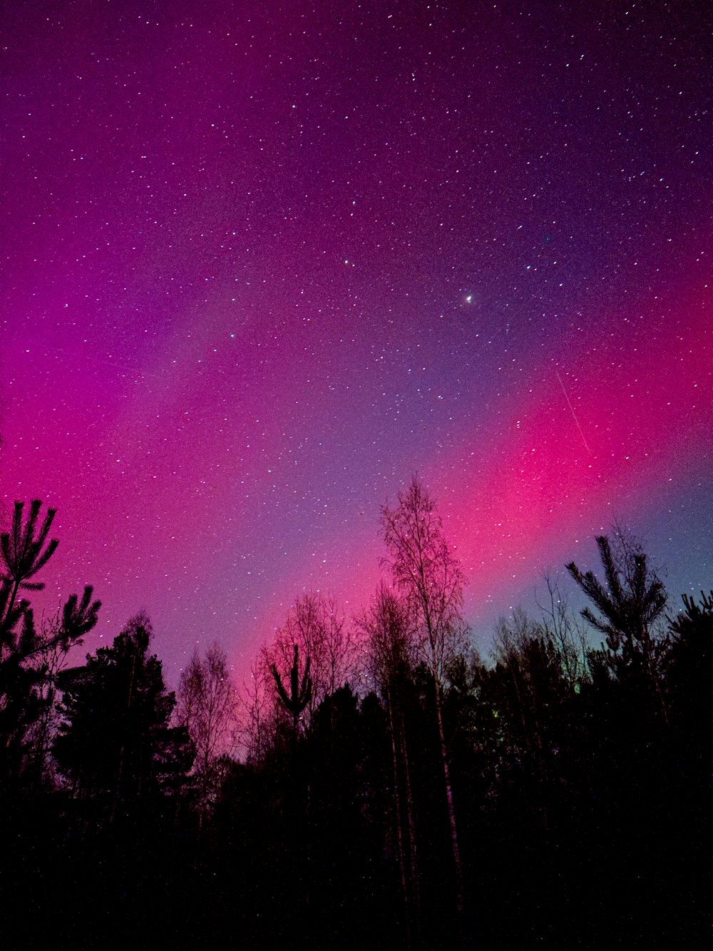 a purple and pink sky with trees in the foreground