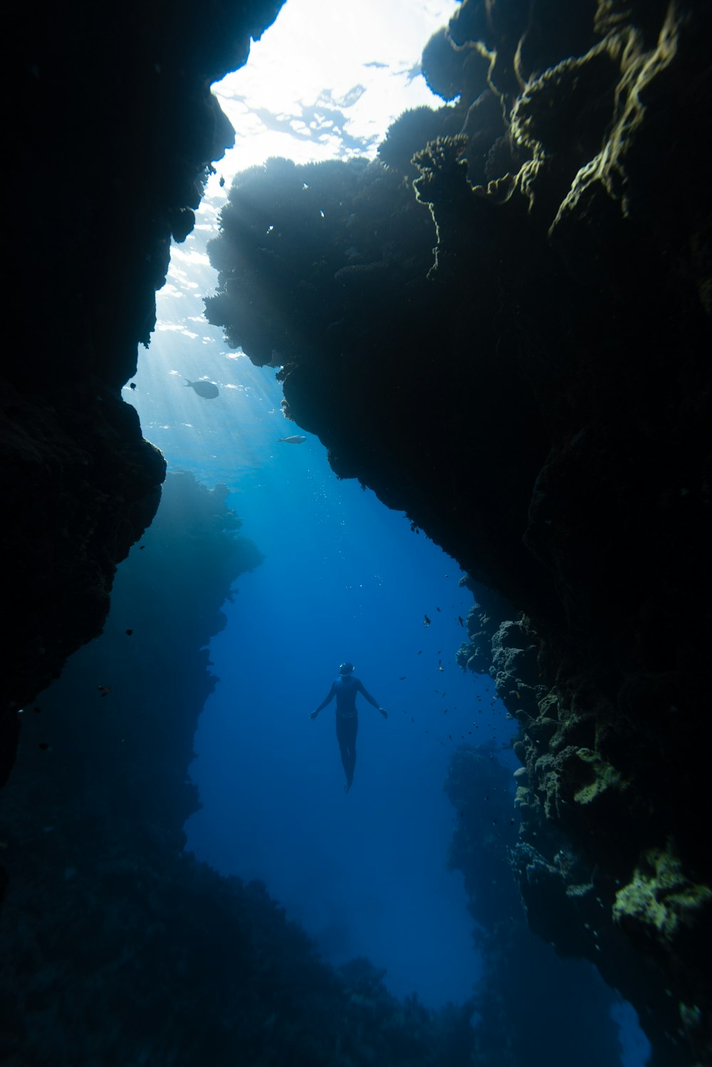 una persona che nuota nell'acqua vicino a una grotta
