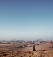 a person standing in the middle of a desert