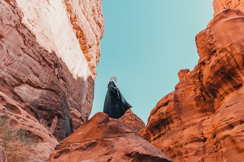 una persona in piedi su una roccia nel mezzo di un canyon