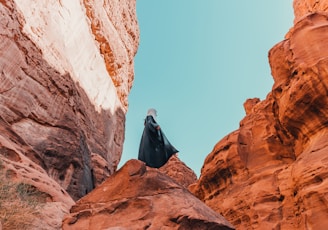 a person standing on a rock in the middle of a canyon
