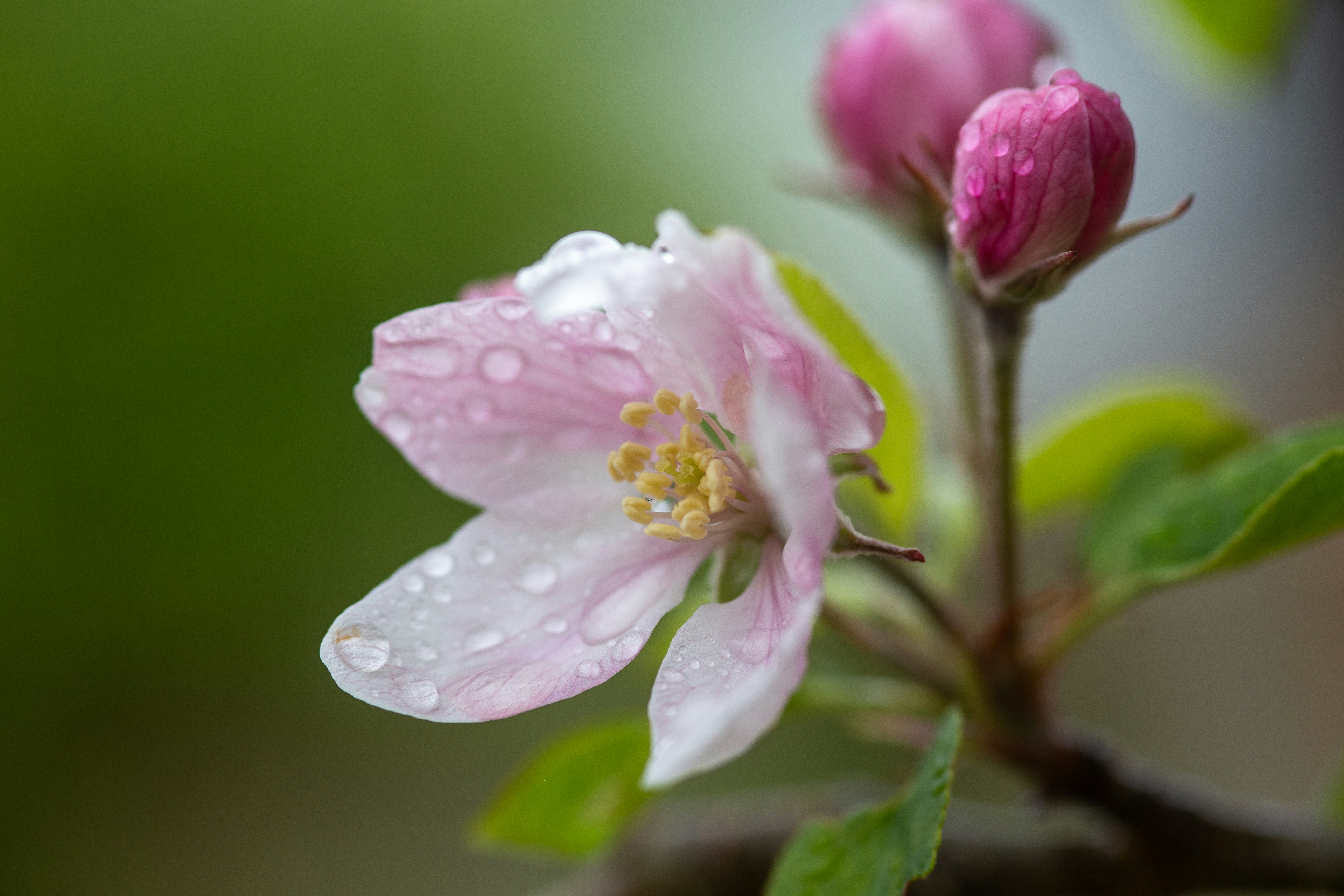 Photo by the_green_sanctuary