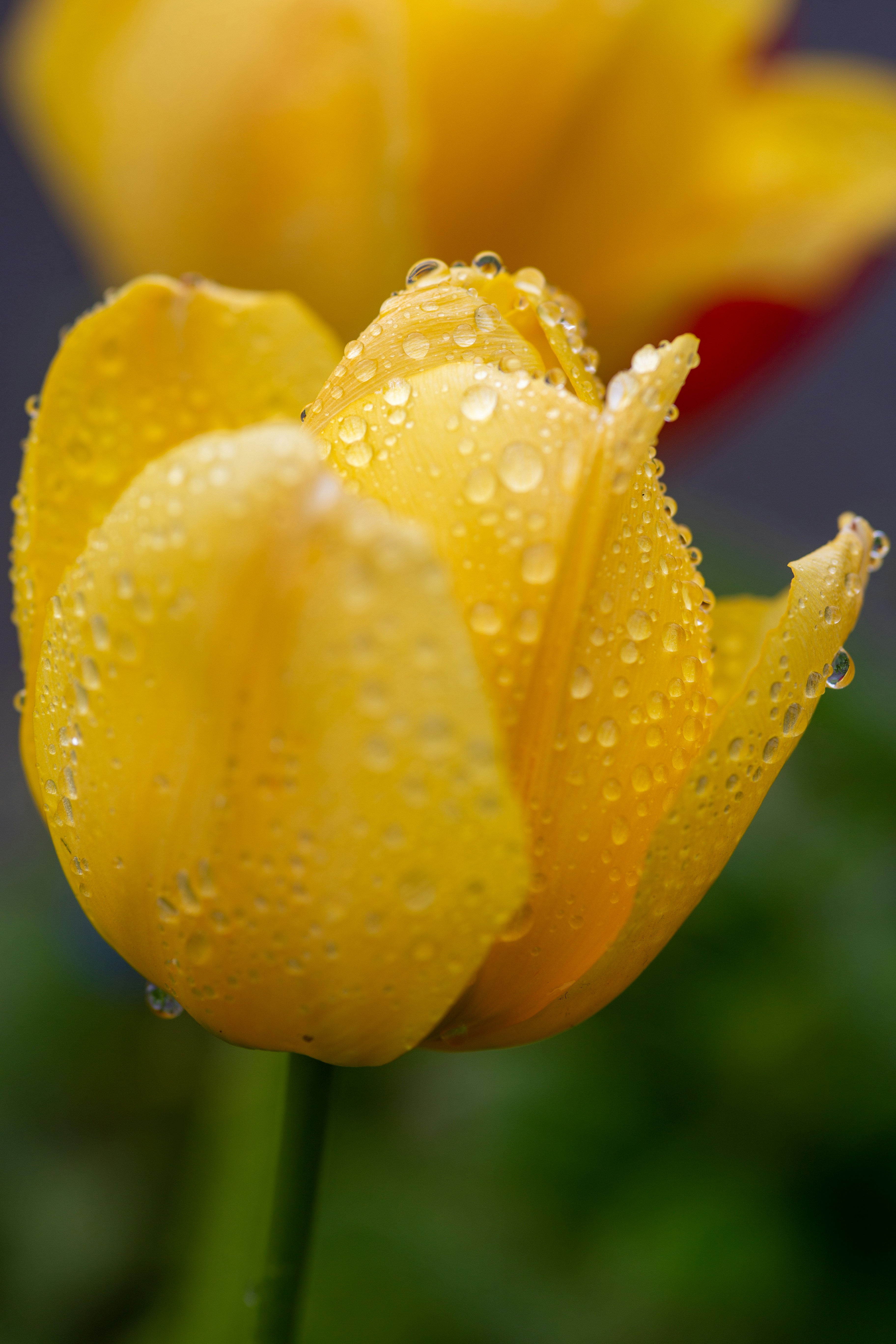 Photo by the_green_sanctuary