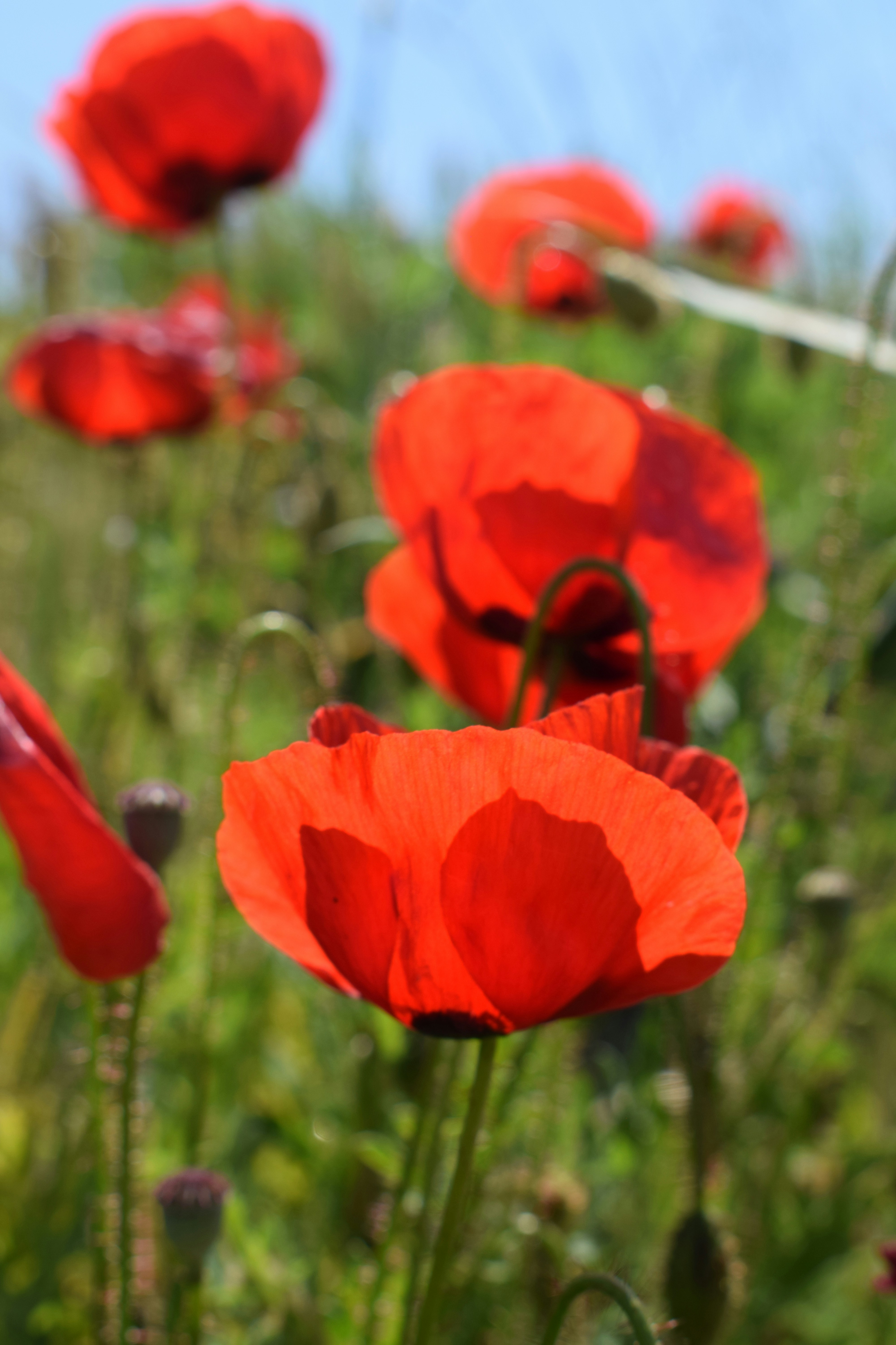 Photo by kristina001