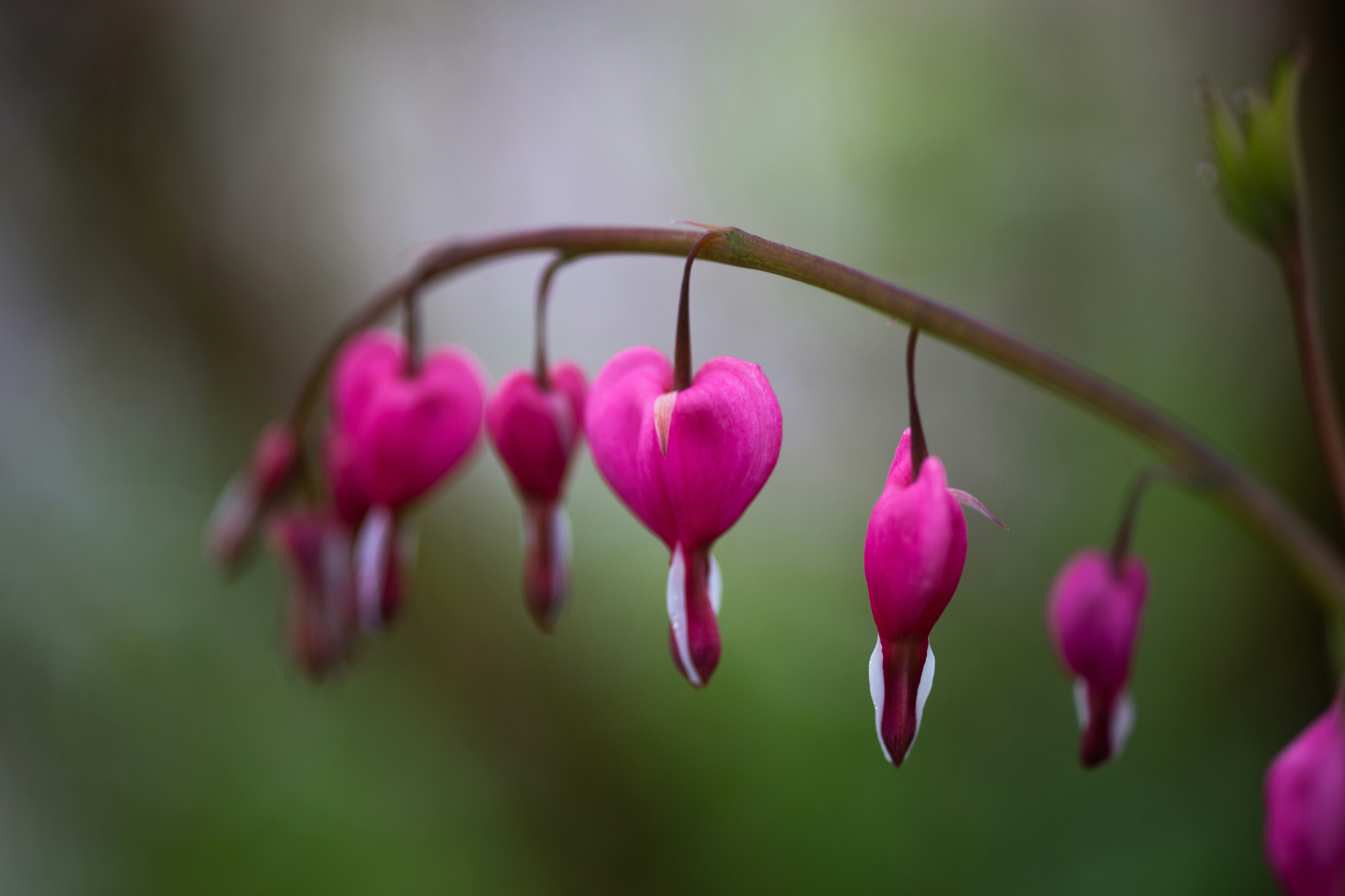 Photo by the_green_sanctuary