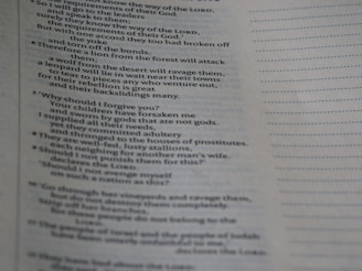 A close-up of a page from a book displays text printed in a serif font. The text appears to be structured as a poem or scripture, with numbered verses on the left. The right side of the image is blank, featuring evenly spaced horizontal lines.