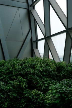A modern architectural design featuring large, geometric glass windows and metal framing is visible. Below the windows, dense, lush green foliage creates a contrast with the hard lines and gray colors of the structure.