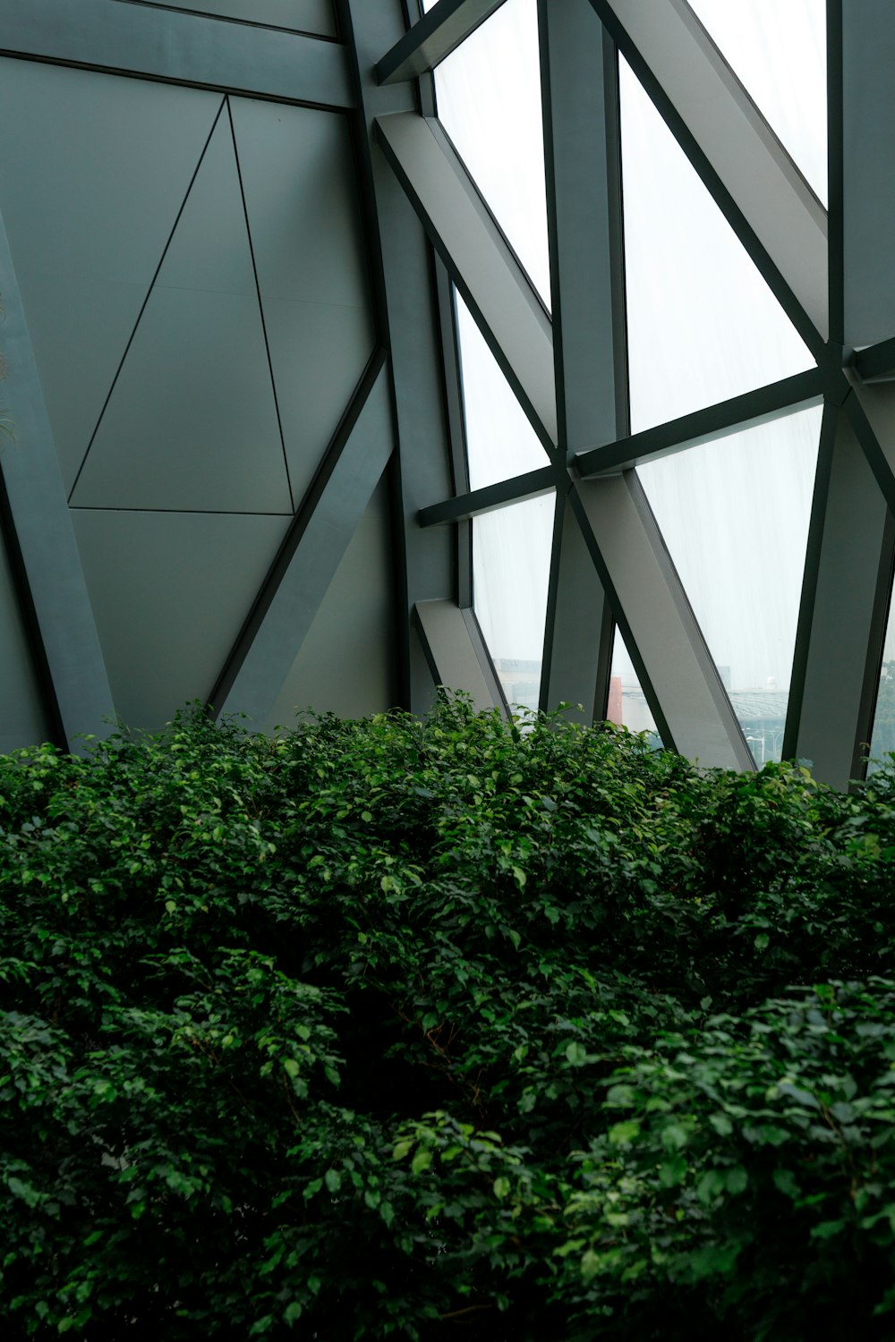 a view of a building through a glass window