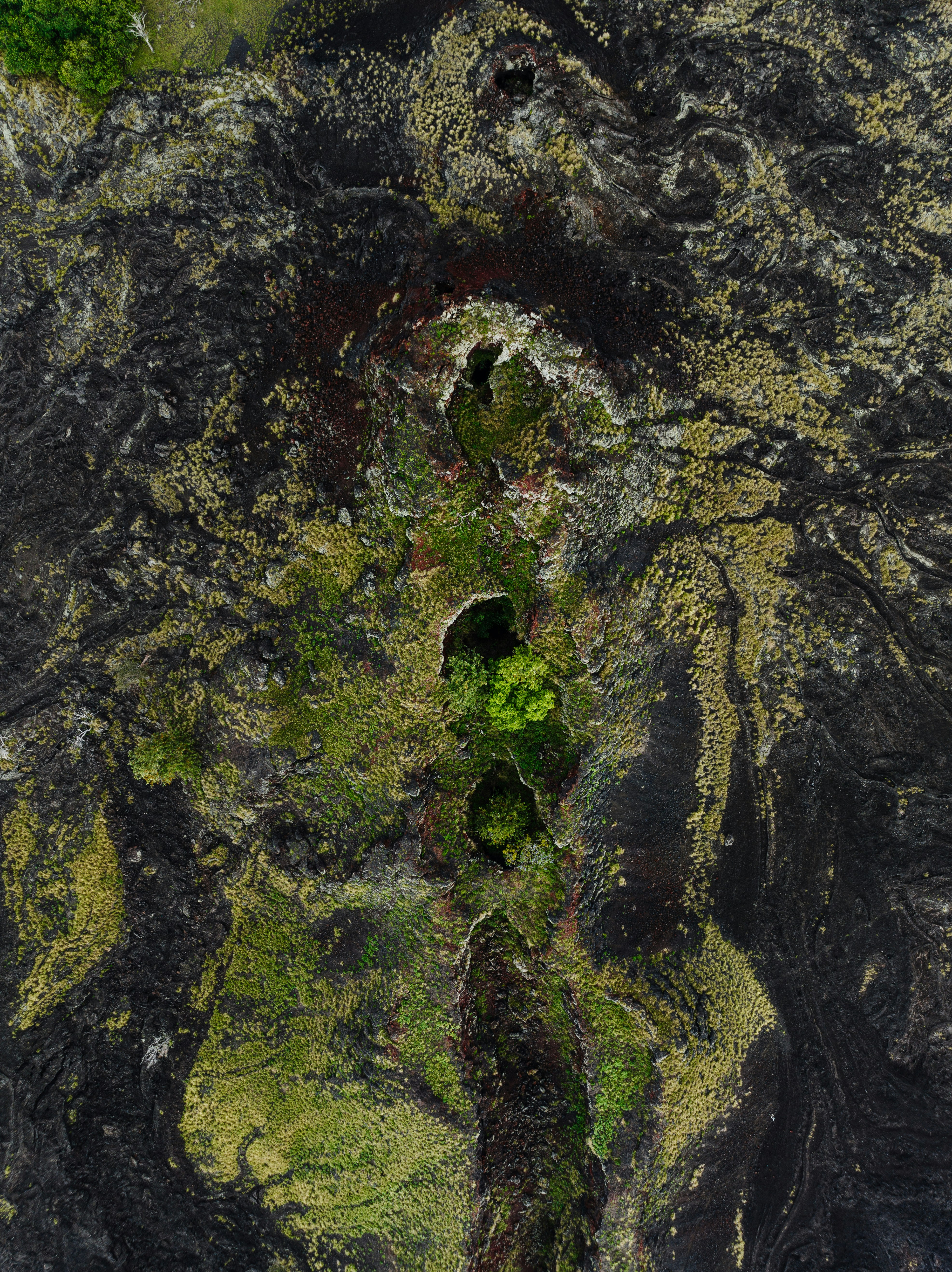 Photo by joshwithers