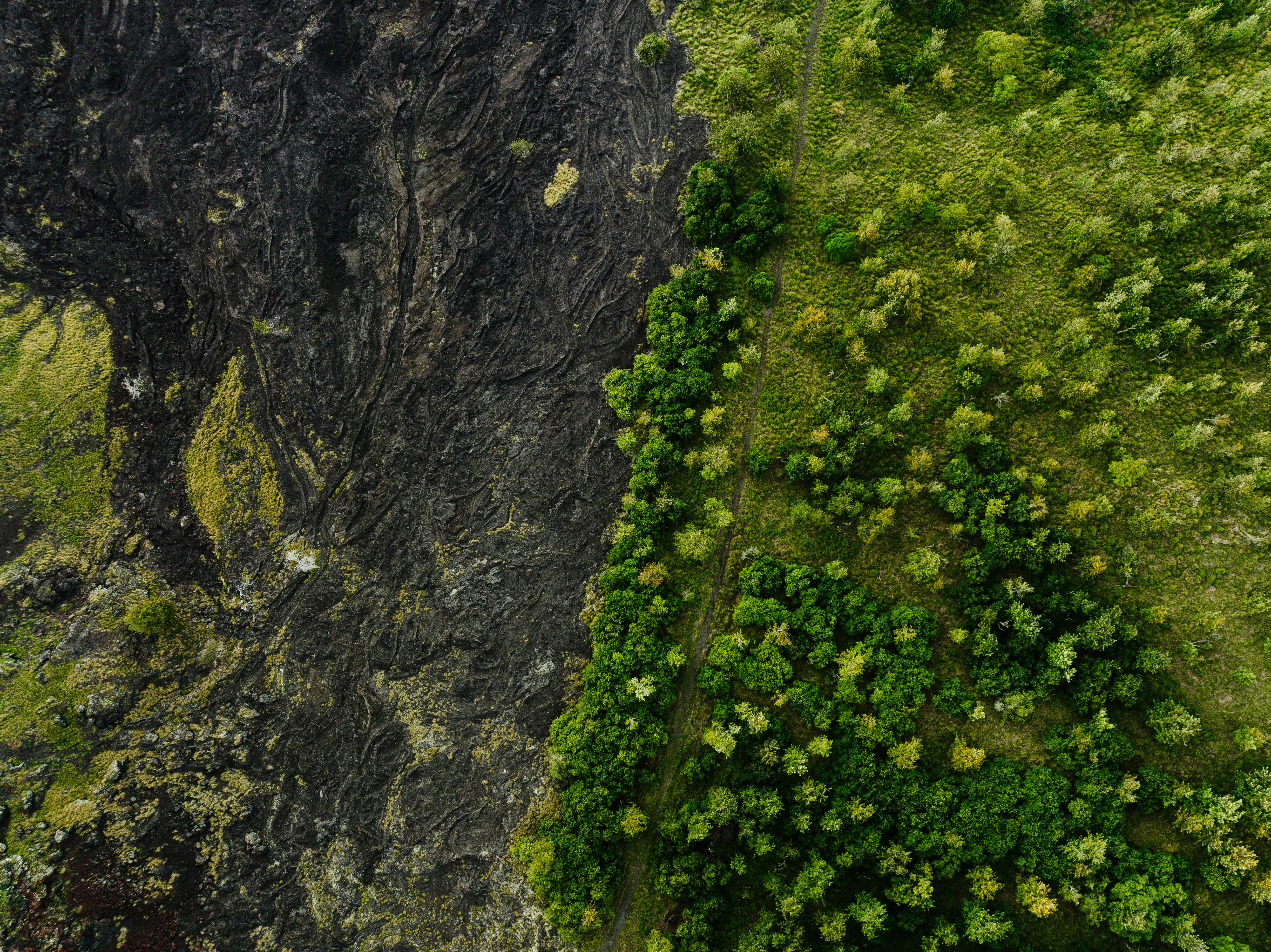 Photo by joshwithers