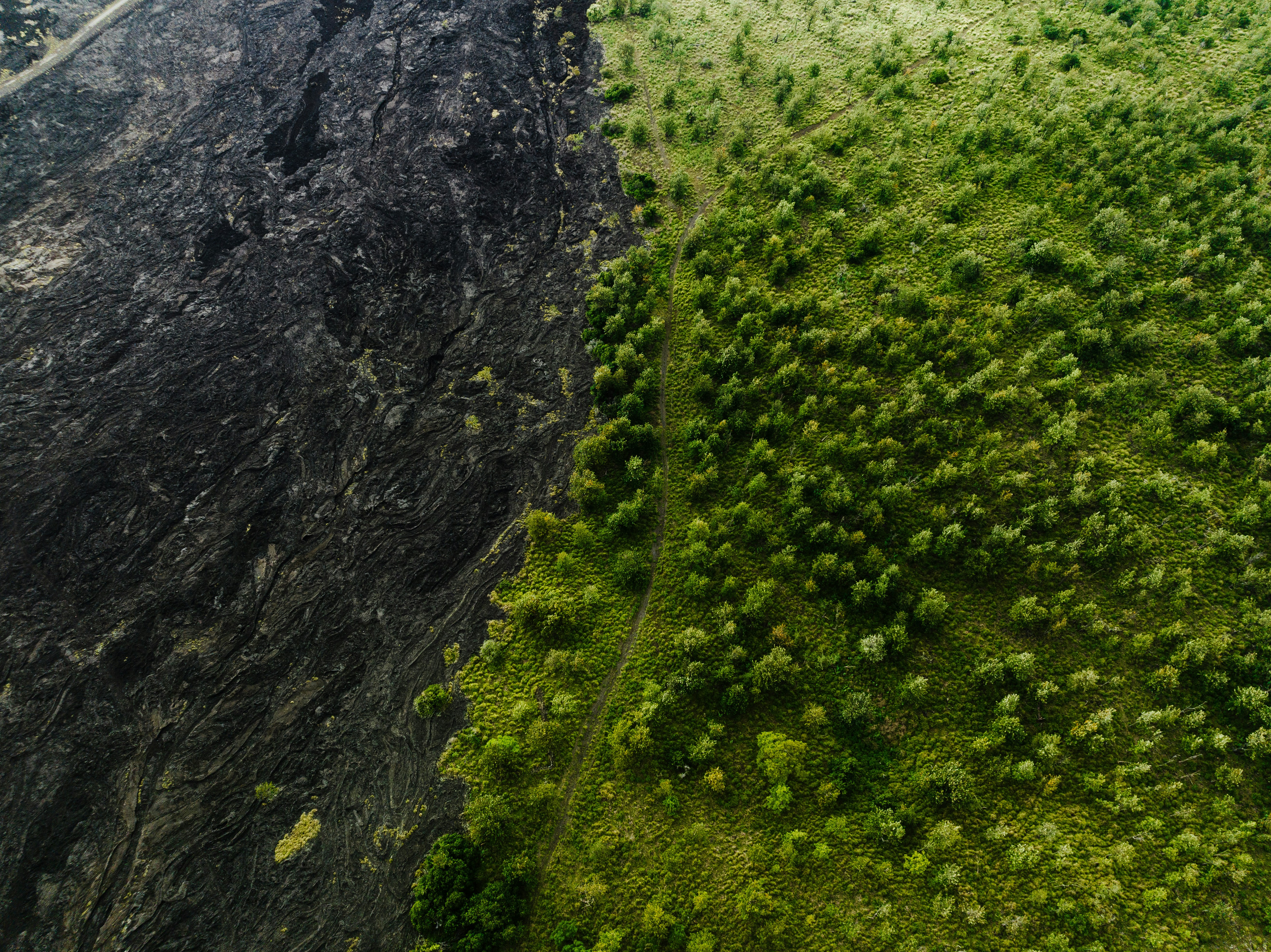 Photo by joshwithers