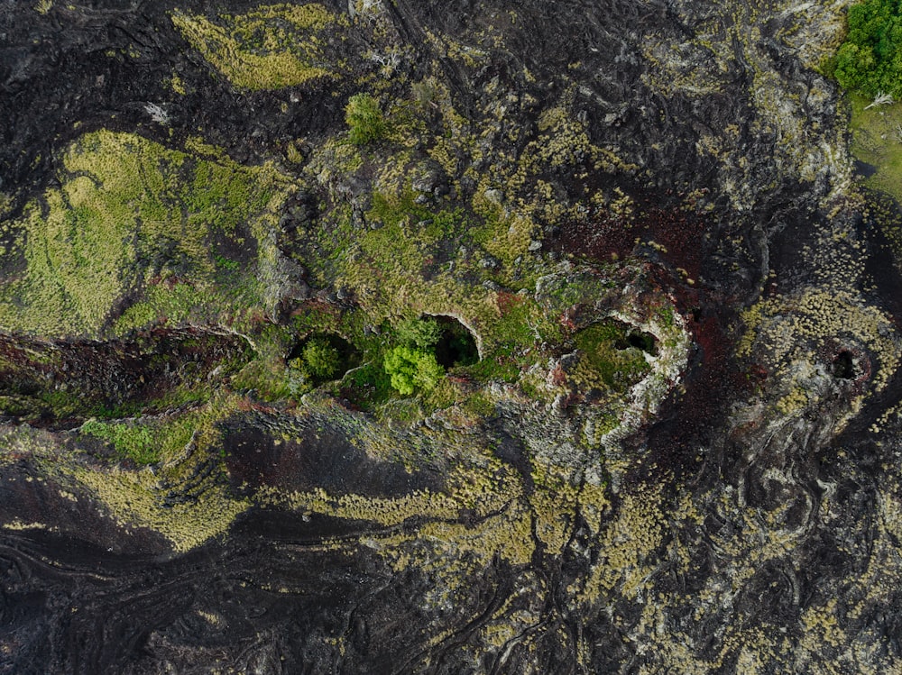 an aerial view of a mossy rock formation