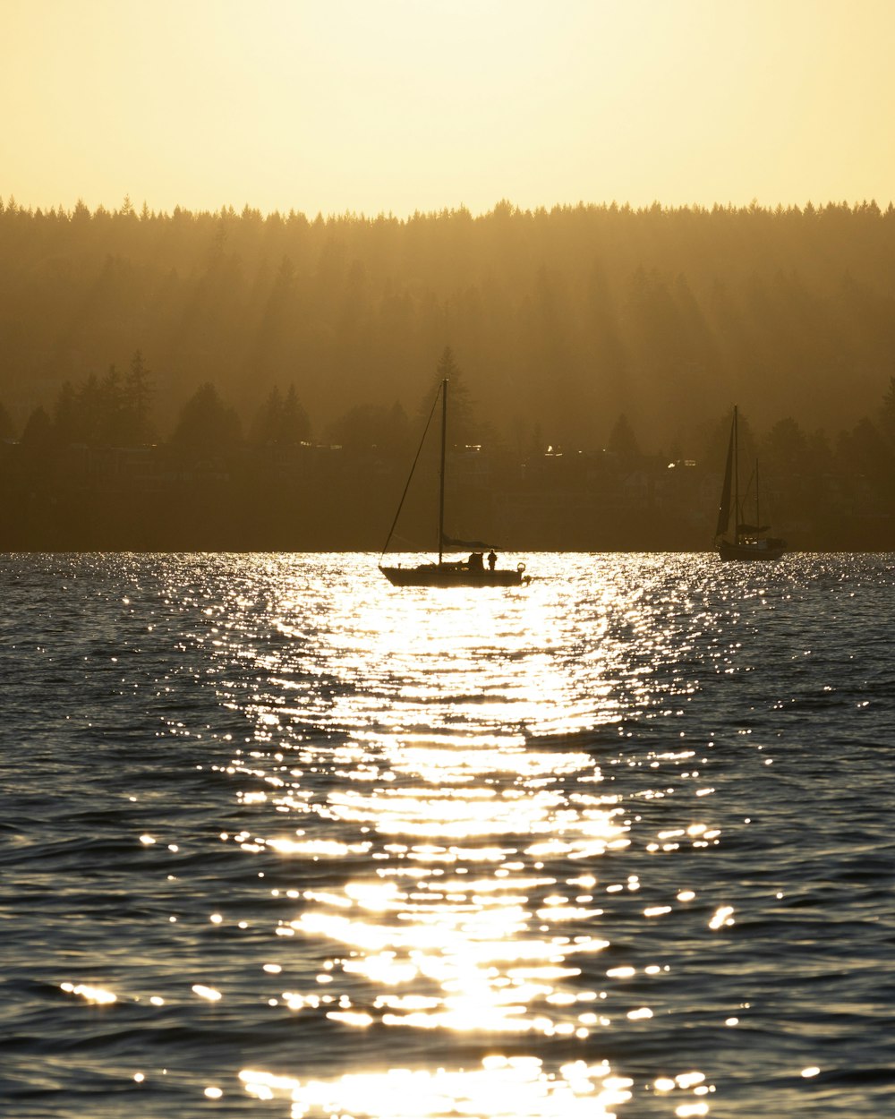 a sailboat in the water with the sun shining through the trees
