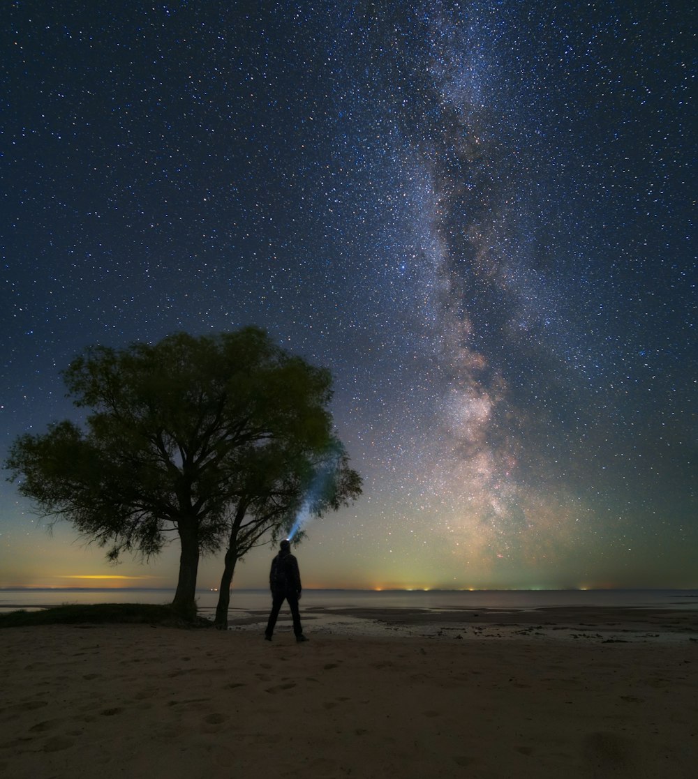 a man standing next to a tree under a night sky