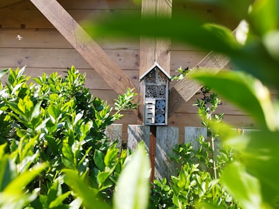 A wooden insect hotel mounted on a fence, surrounded by lush green leaves and plants. The background features a wooden structure with diagonal beams.