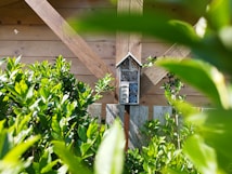 A wooden insect hotel mounted on a fence, surrounded by lush green leaves and plants. The background features a wooden structure with diagonal beams.