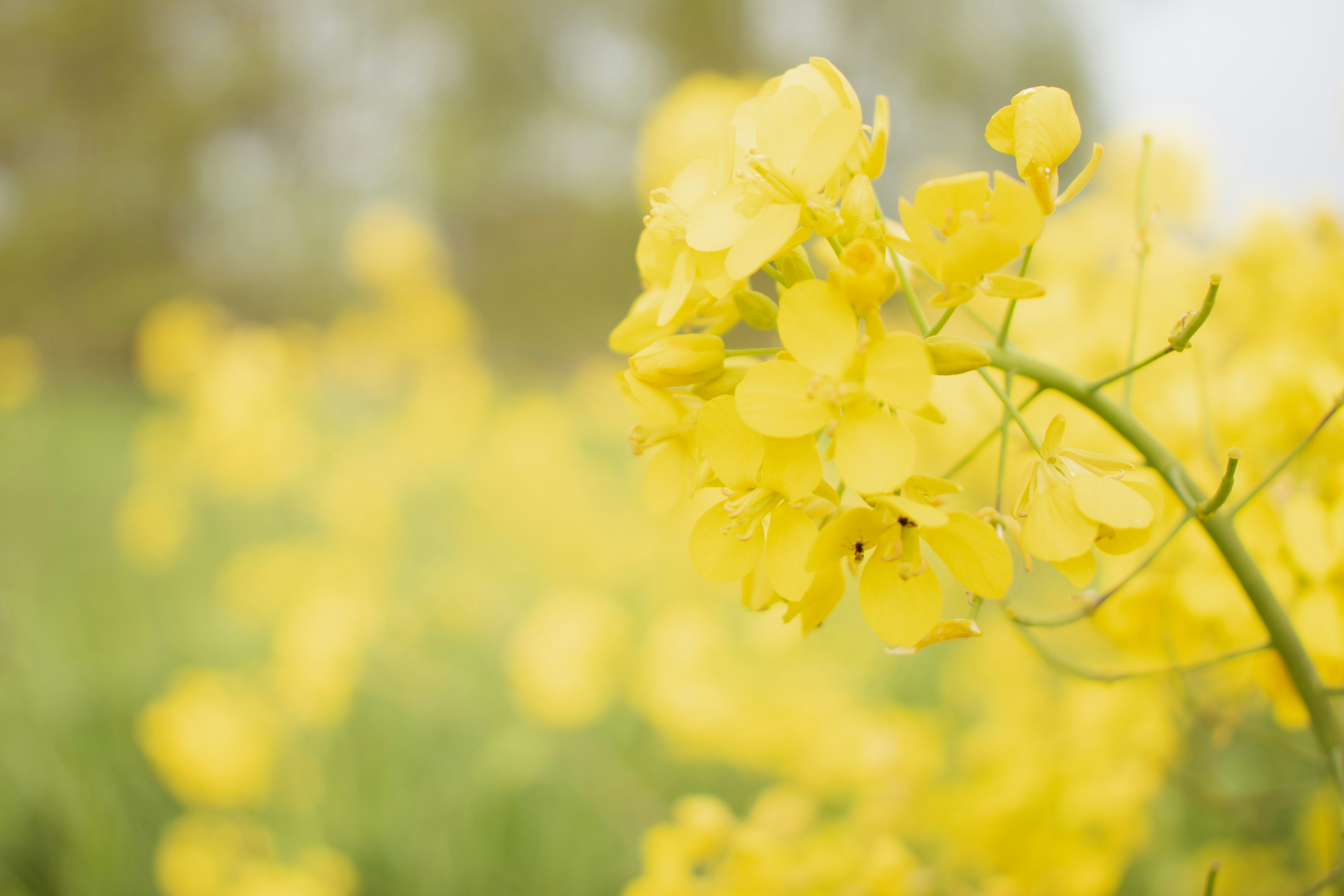 Photo by bo_schoonejans_photography